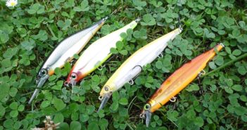 RECENZE: Woblery Rapala Shadow Rap